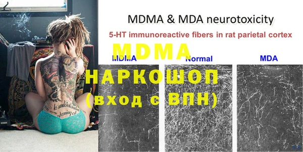 индика Коряжма